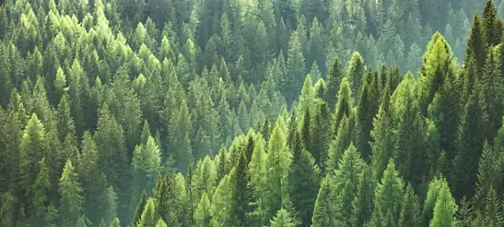 环境技术概念。可持续发展目标。SDG。