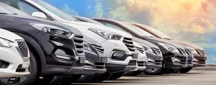 Surface Protection-Auto Wax