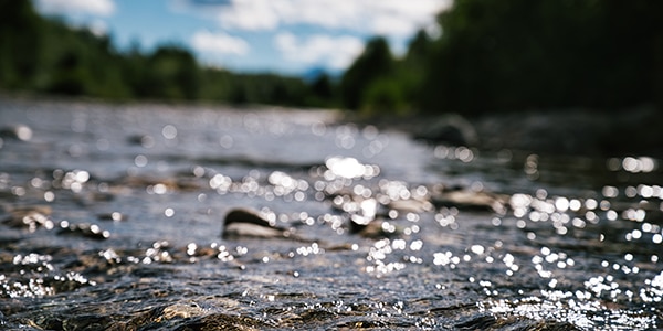 close up of a stream