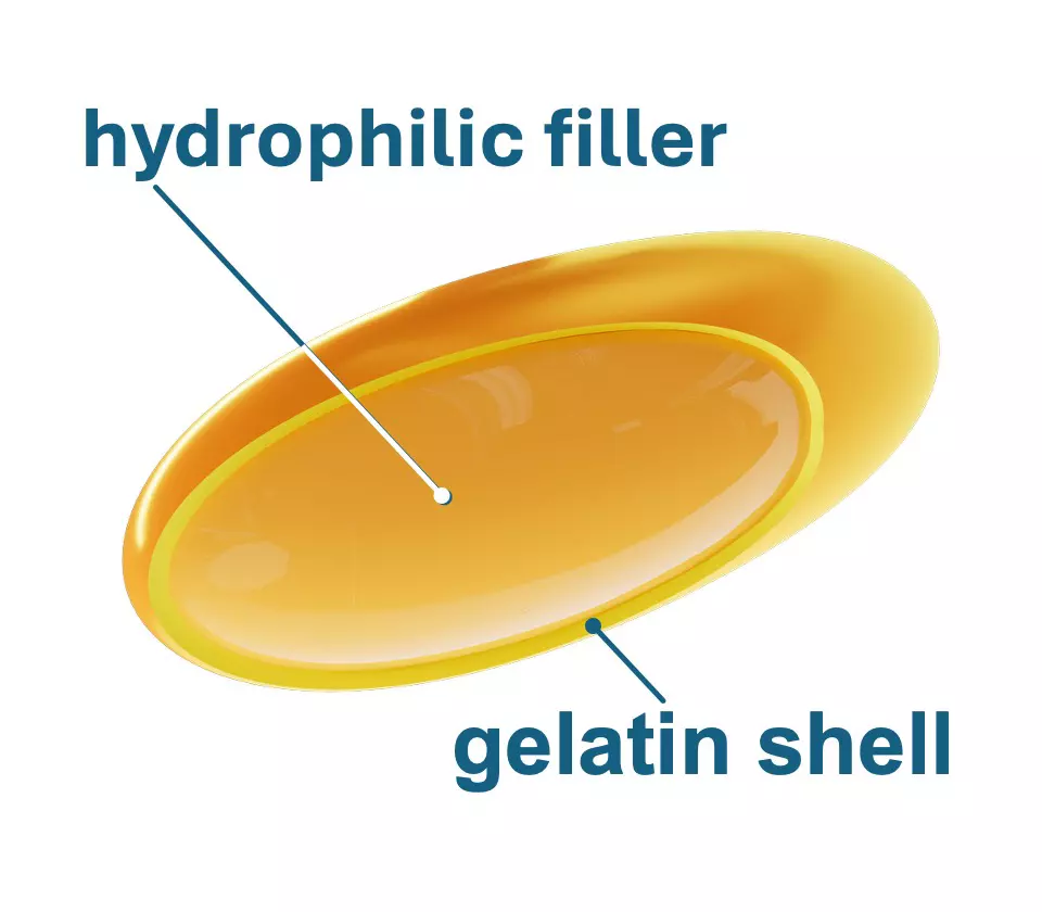 Gel Cap Cross Section