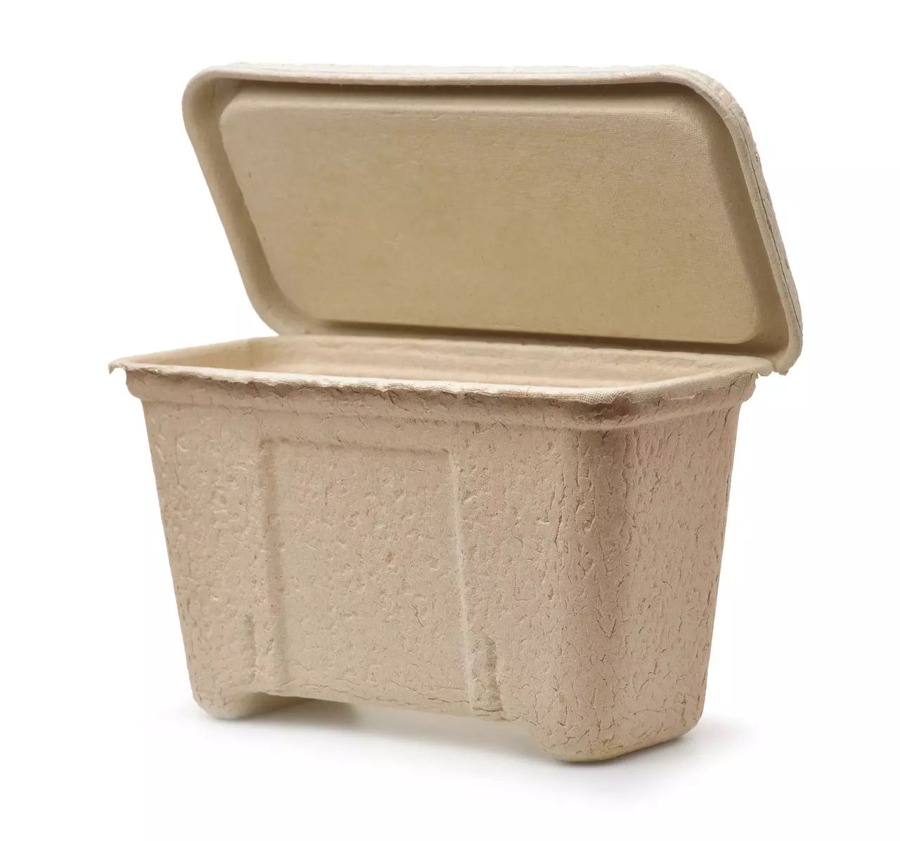 Molded paper pulp packaging container with open cover isolated on white