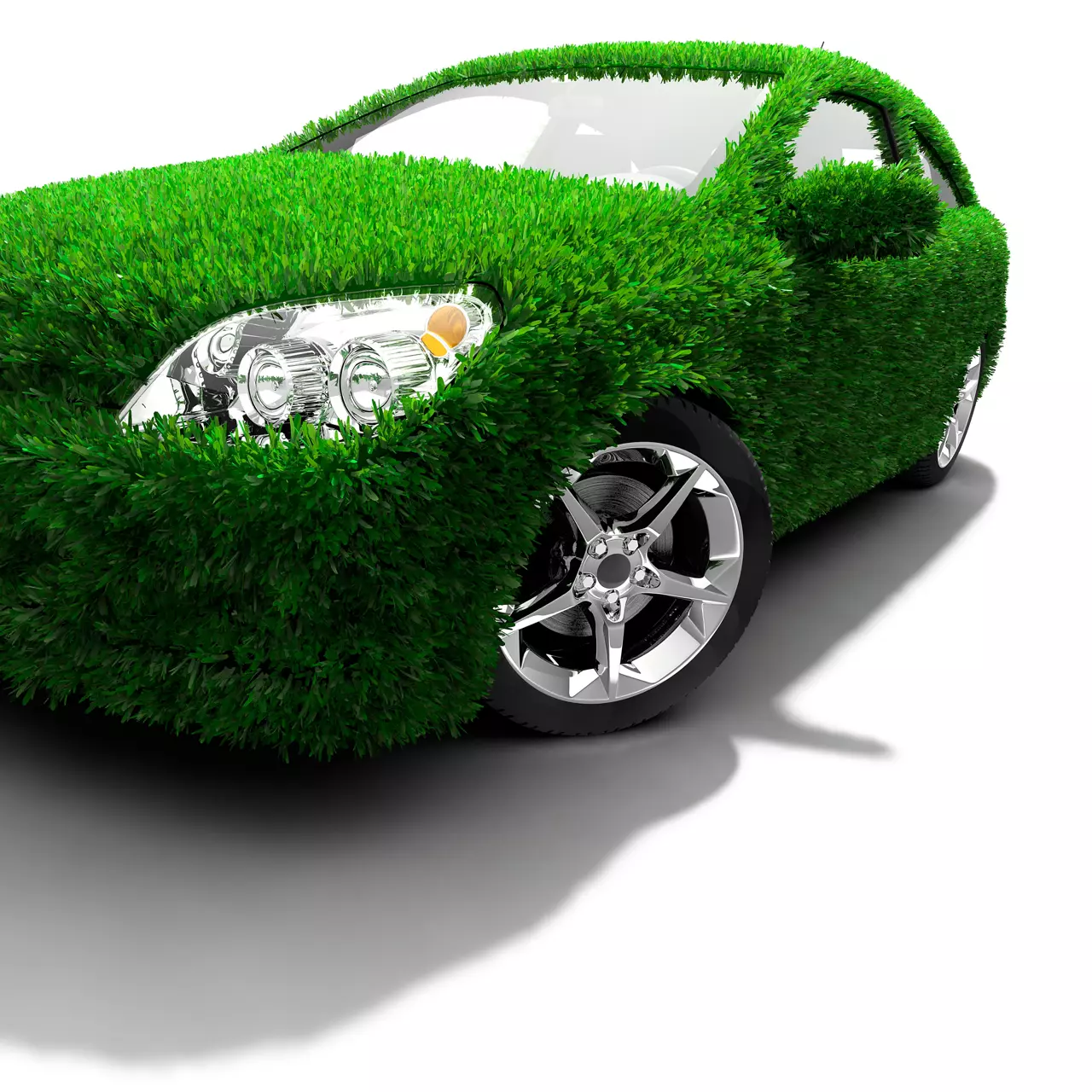 Car covered with grass